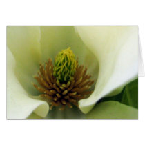 KIW Sparks: White Flowers 62 Card