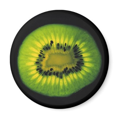 Kiwi Black Magnet by JuJuGarden