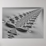 Kiwi Fern Poster posters