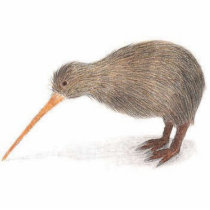 kiwi photo sculptures