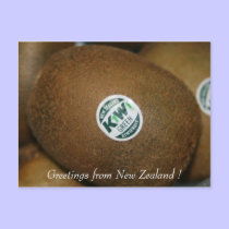 kiwi postcards by cardart kiwi postcards