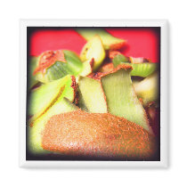 kiwi skins on red magnets by kinymccarrick kiwi skins on red magnets