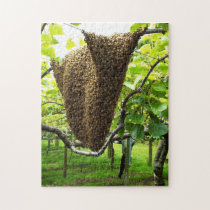 Kiwifruit Bee Hive Puzzle puzzles
