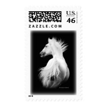 Kladruber Stallion postage by Gifts_by_Magdalena Kladruber Stallion postage