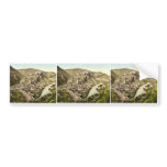 Klausen, general view, Tyrol, Austro-History magni Bumper Stickers