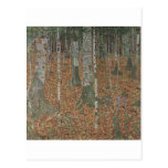 Klimt, Gustav -Birkenwald Postcard