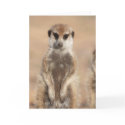 KMP Card 14 - Mitch