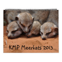 KMP Meerkats 2013 Calendar