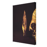 Knapped axe or spear head stretched canvas prints