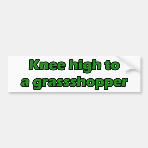 knee-high-to-a-grasshopper-bumper-sticker-zazzle