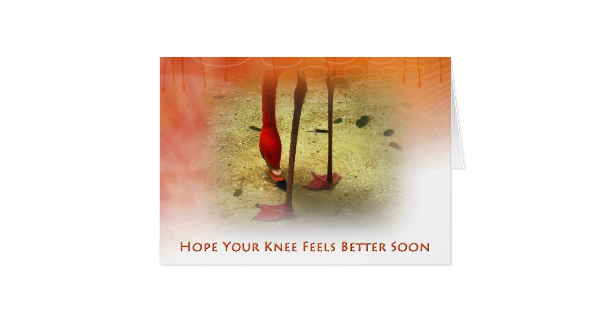 knee surgery get well soon pink flamingo card zazzle create save the date cards