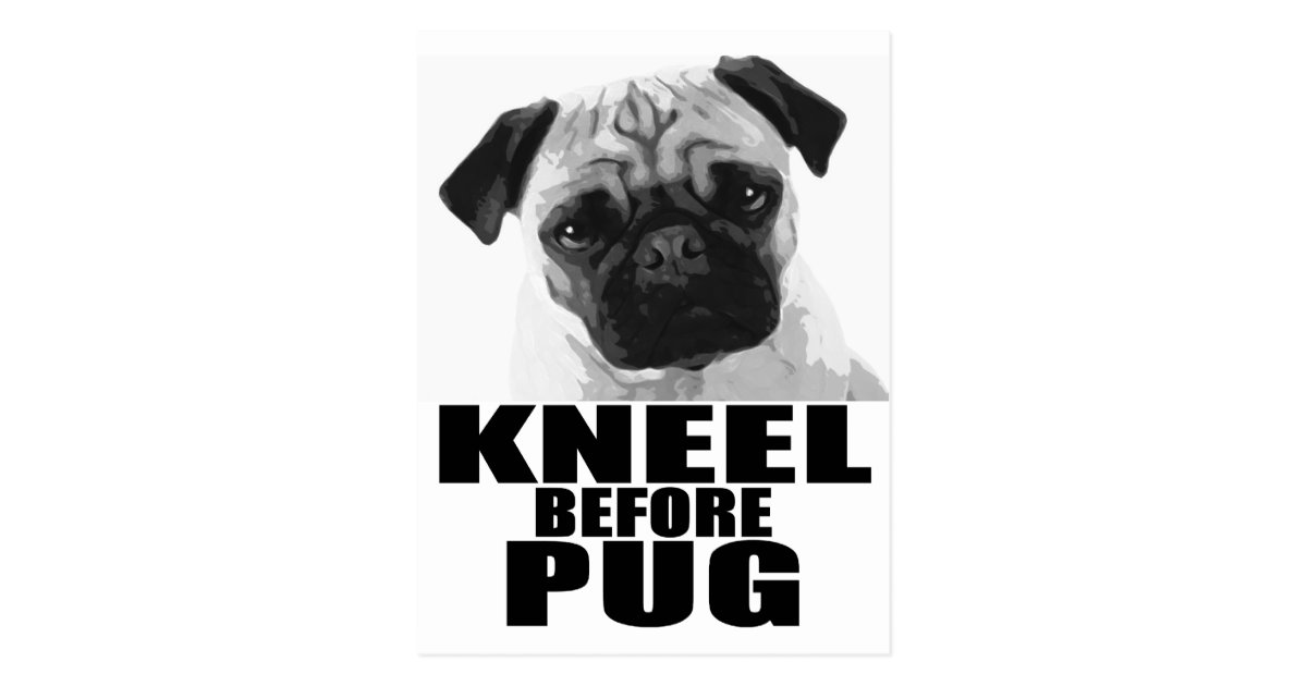 pug before kneel before pug postcard zazzle pug before kneel before pug postcard zazzle