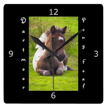 Kneeling Dartmoor Pony Foal Wallclock