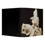 Knight in armour on his horse binders