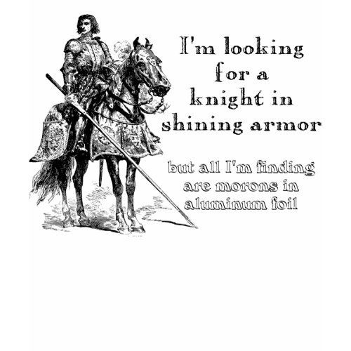 Knight In Shining Armor Funny Shirt shirt