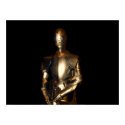 Knight in Shining Armor posters