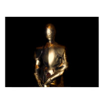 Knight in Shining Armor posters by dduhaime55 Knight in Shining Armor posters