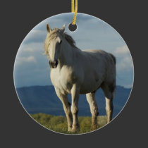 Knight of Dreams ornaments