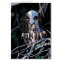 Knight Owl cards