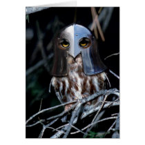 Knight Owl cards by pageandturner Knight Owl cards