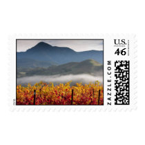 Knights Valley View postage by joe_becerra Knights Valley View postage