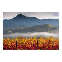 Knights Valley View posters by joe_becerra Knights Valley View posters