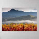 Knights Valley View Posters