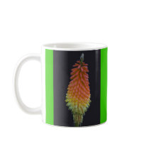 Kniphophia # 219 mug