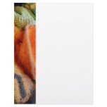 Knitting for Baby Letterhead Template