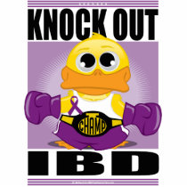 Knock Out IBD Photo Sculpture