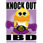 Knock Out IBD Photo Sculpture