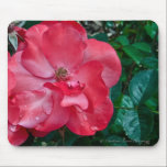 Knock out Red Rose mousepad