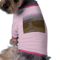 Knocknara Green Field pet clothing