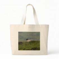 Knocknara Ireland Sheep Lambs bags