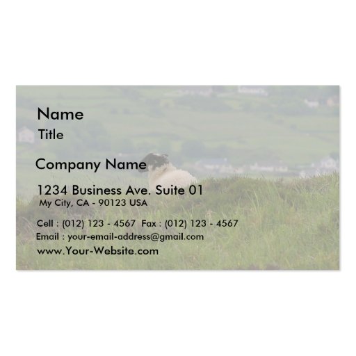 Knocknara Ireland Sheep Lambs Business Cards (front side)