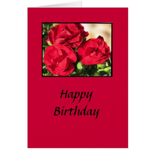 Knockout Rose Birthday Card