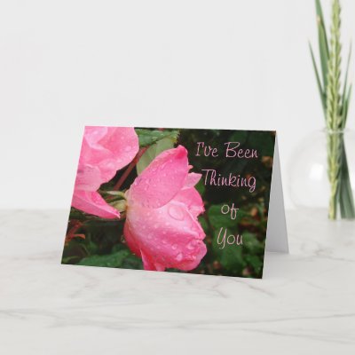 Knockout Roses Thinking of You or any occasion Card