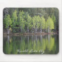Knoll Lake Arizona Mousepad