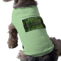 Knoll Lake Arizona Pet Clothing pet clothing