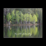 Knoll Lake Arizona Postcard postcards