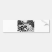 knotted wood` bumper stickers