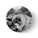 knotted wood` pin