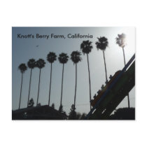 Knott's Berry Farm, California Post Card