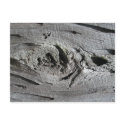 Knotty Wood Postcard by LenPhoto Knotty Wood Postcard