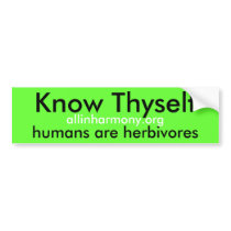 Know Thyself Bumper Sticker bumper stickers
