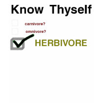 Know Thyself Ladies Tank t-shirts by allinharmony Know Thyself Ladies Tank t-shirts