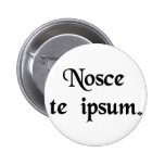 Know thyself. pin