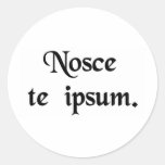 Know thyself. stickers