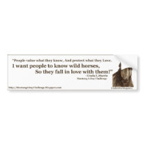 Know Wild Horses Bumper Sticker White ~ LLMartin