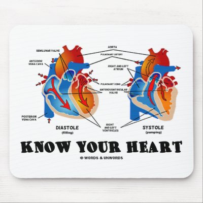 Heart+diagram+no+labels